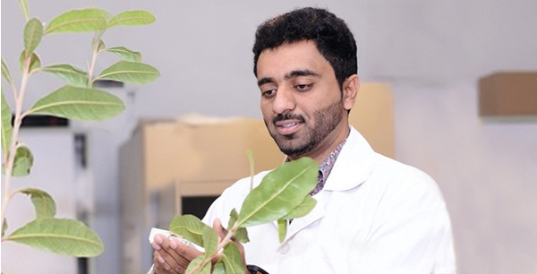 UAEU Student Believes their Innovative Drip Irrigation System Can Increase irrigation efficiency and Plant Growth