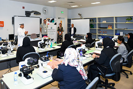 United Arab Emirates University (UAEU) - Top Universities in Middle East