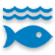 Life below water