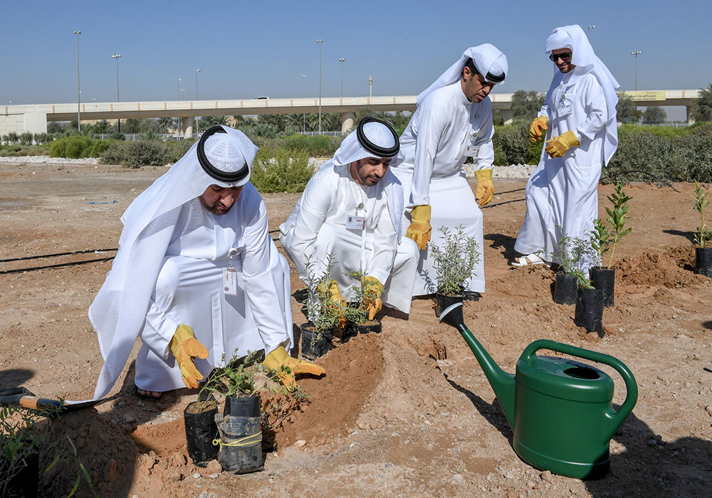 UAEU participates in the 37th UAE Plantation Week