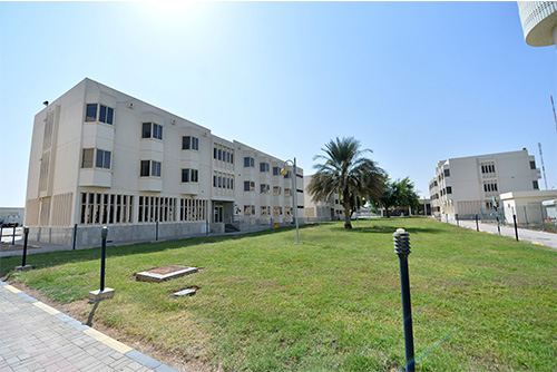 Tawam Housing (Male)