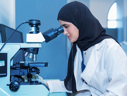 الدراسة في الكلية