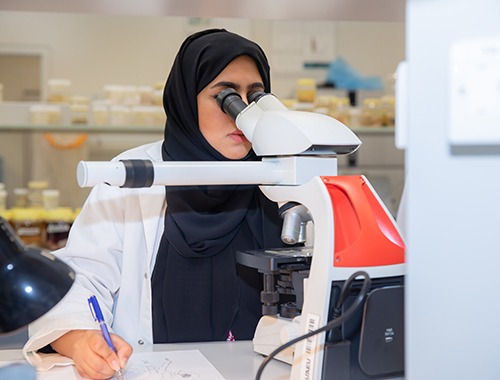 الدراسة في الكلية