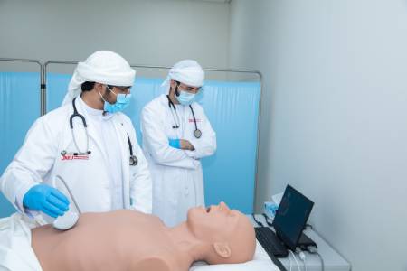 Ultrasound Simulator (Vimedix Simulator Interface)