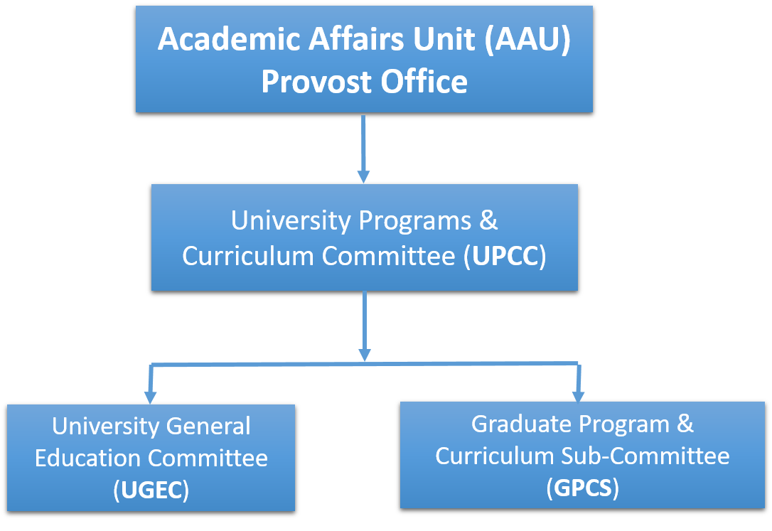 University Programs and Curriculum Committees Reporting to the Provost