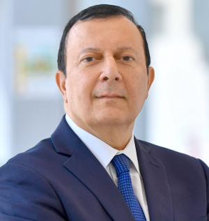 Prof. Mohsen Sherif,