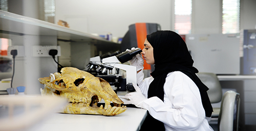 UAEU - Cutting Edge Research Facility