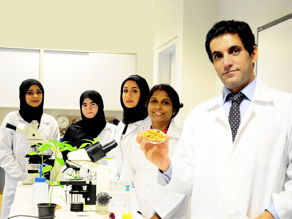 UAEU Research Team Discovers New Fungus: Dominikia Emiratia