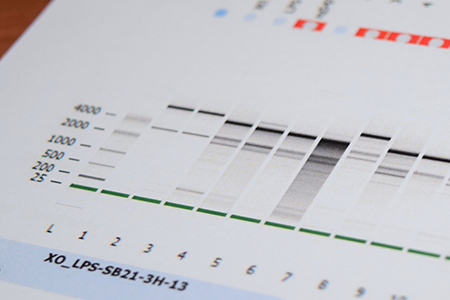 MOLECULAR BIOLOGY LAB