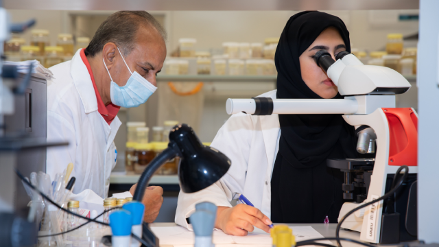 اكتشاف نوع جديد من قشريات المياه العذبة بدولة الإمارات