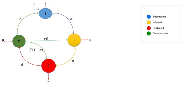 Figure: General flow diagram of the model