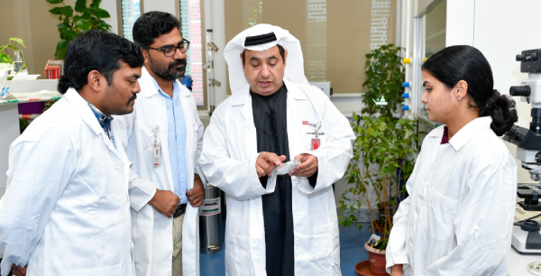 UAEU Plant Physiology Research Team Addressing SDG 13: Climate Change