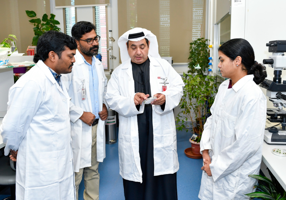 UAEU Plant Physiology Research Team Addressing SDG 13: Climate Change