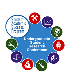 college undergraduate success program