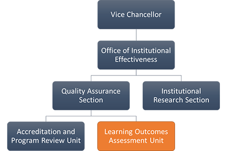 Learning Outcomes Assessment