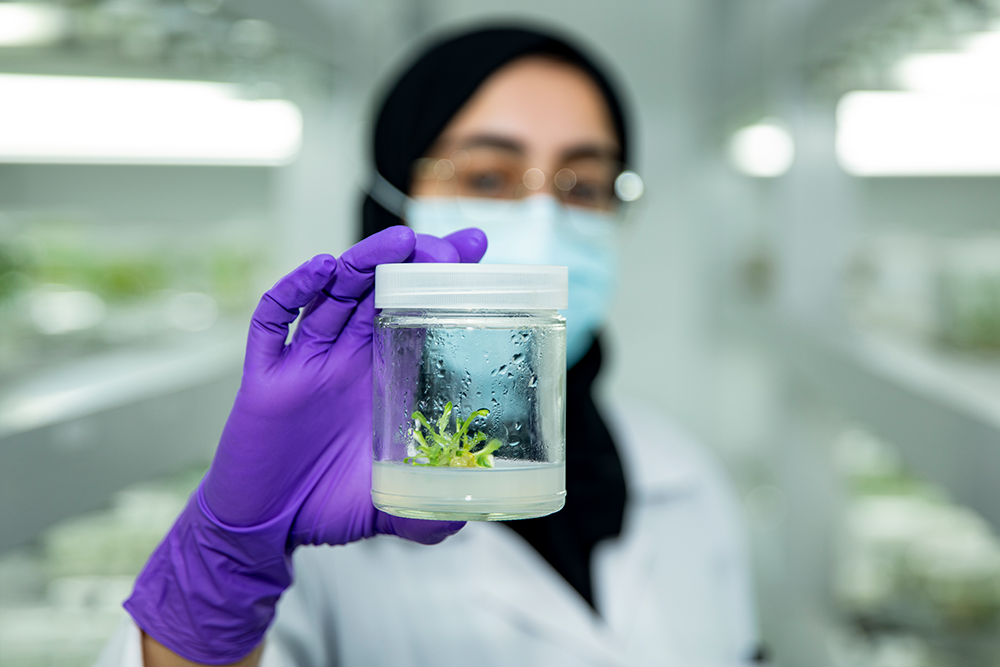 EN: Researcher holding a plant tissue culture in a glass jar.
